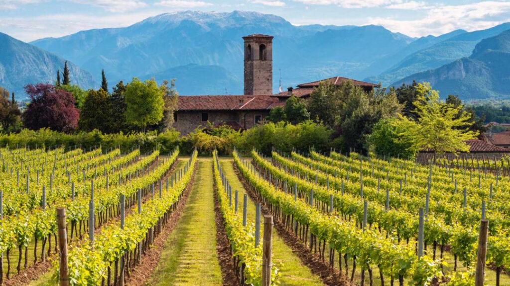 family-bike-residence-Franciacorta